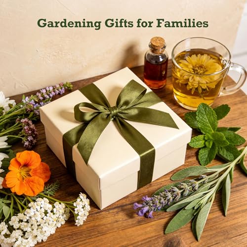 Lush&Dew Holistic Family Apothecary Seed Chest, 30000+ Medicinal Herb Seeds - style: Holistic Family Herbs