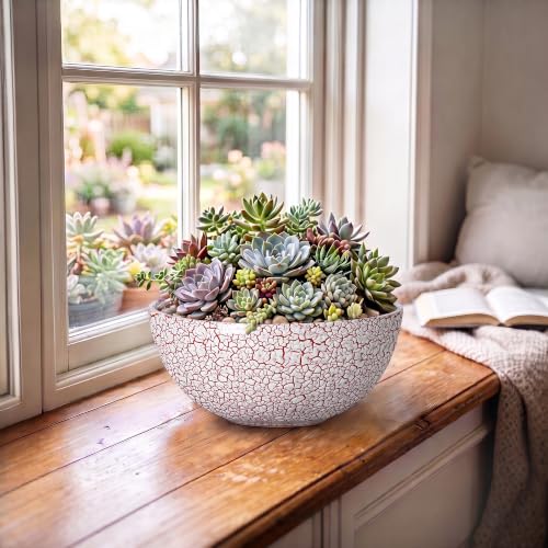 Bonsai Planter, 8 Inch Ceramic Succulents Planters, Texture Red - color: Texture Red-1, size: 8 Inch
