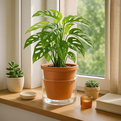 D'vine Dev Self Watering Terracotta Planter Pot, 6 in, 2-Pack, 37-Y-B-1 - color: Terracotta, size: 6 Inch
