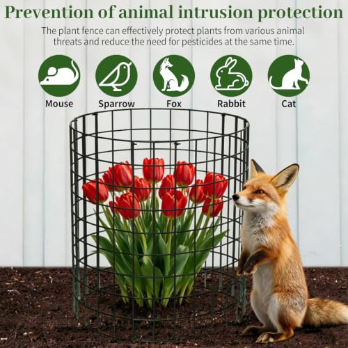 Garden Plant Protectors from Animals -12" x 14" Metal Plant Cages