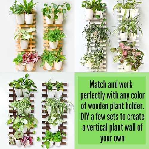 LaLaGreen Self-Watering Wall Planters (4in, 10 Pack) White Indoor Plants - size: 4" (10 cm)