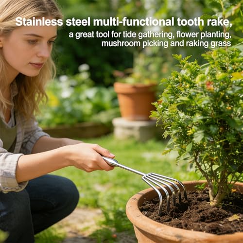 5-Tine Long-Handle Stainless Steel Small Rake