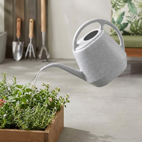 Fasmov Plastic Watering Can, 1-Gallon
