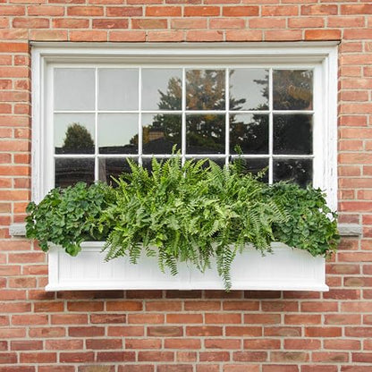 Mayne Cape Cod 60in Self-Watering Rectangular Window Box Planter, White - color: White