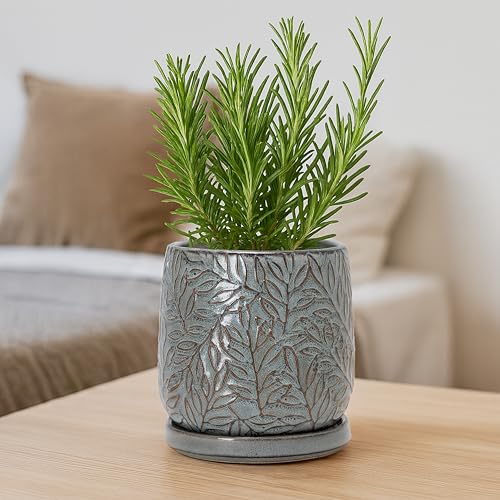 D'vine Dev Embossed Leaves Ceramic Planter, 6 in, Graphite Blue, 27-A-X-9 - color: Graphite Blue, size: 6 Inch