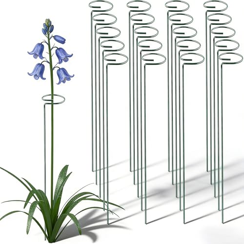 20 Pieces 36 inch Green Single Stem Plant Stakes Flower Support Rings, Gardening Planter Cages for Single Stem Flowers, Amaryllis, Peony, Lily,Narcissus - color: Green-36-inch 20pack
