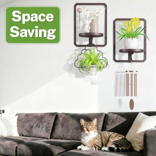 iDavosic.ly Wall Plant Picture Frame Holder Set of 2 & 2 Grow Light, Bronze - color: Bronze with 2 Lights, size: Rectangular