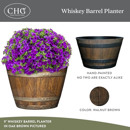 20.5" Jameson Whiskey Barrel with Drainage in Kentucky Walnut