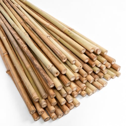 Natural Bamboo Poles, 3 Feet Bamboo Sticks for Plants, Wood Garden Stakes for Tomato, Bean, Flowers, Trees Potted and Climbing Plants, 75 Pack - size: 3FT-75PCS