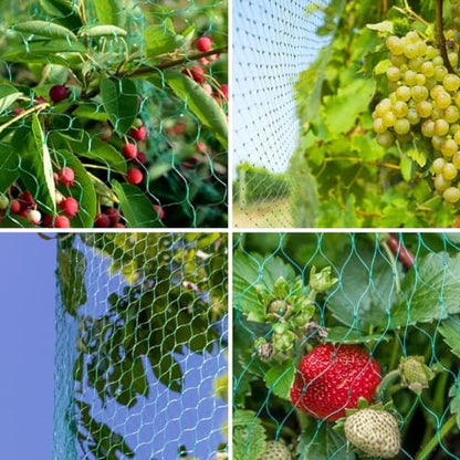 Bird Netting for Garden, 13 x 33Ft Anti Bird Net with 50 Ties and 20 Tacks