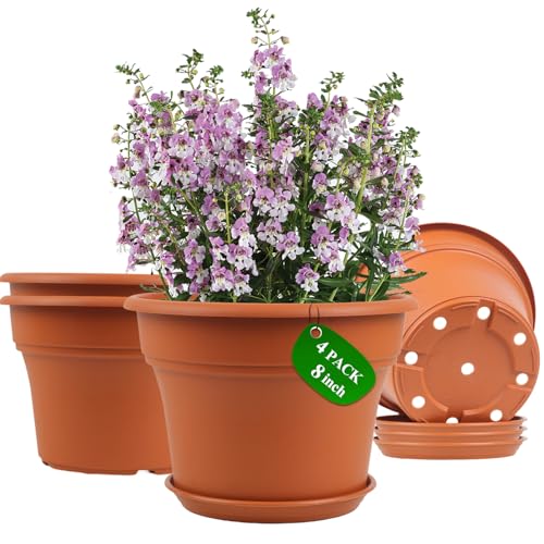 Pottiffe Plant-Pots-Planters-Indoor-Outdoor, 8 inch 4 Pack Terracotta - color: Terracotta, size: 8 inch-4Pack