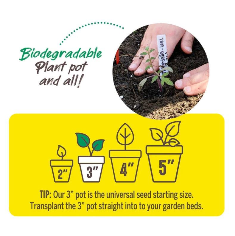 Jiffy Biodegradable Peat Pots for Seedlings, 3 Inch, 100 Pack - color: 100 Pots, size: Large