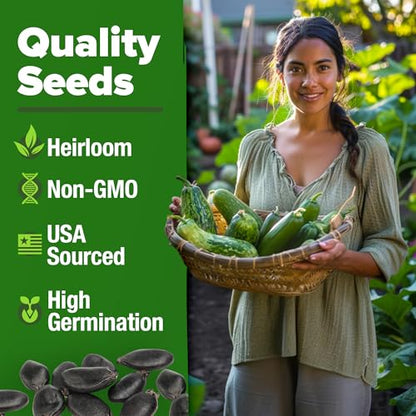 HOME GROWN Luffa Loofah Gourd Seeds, 80+ Seeds, Luffa aegyptiaca