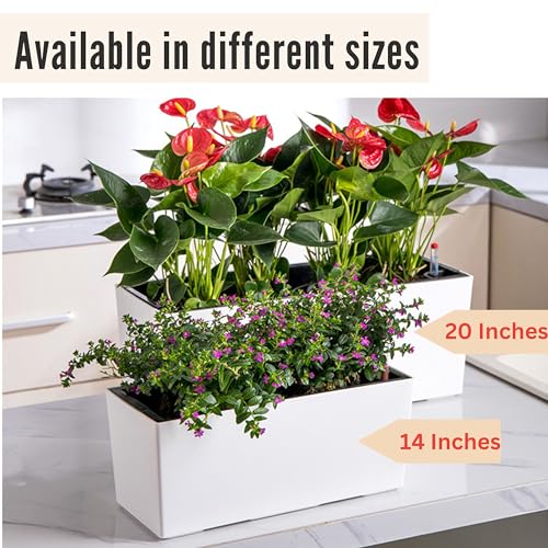 LaLaGreen Wall Planter for Outdoor (2 Pack, 14 Inch) Wall Mounted Self Watering System White Flower Box with Bracket, Window Wall Hanging Rectangular Plant Pot Container Indoor Modern Herb Kitchen - size: 14" (36 cm) x 2 Pack