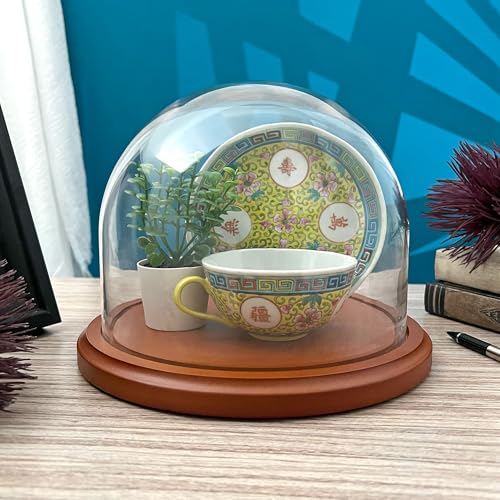 Plymor 8" x 6.5" Glass Display Dome Cloche (Walnut MDF Base) - color: Walnut MDF base