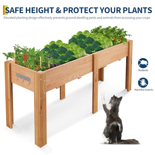 Jojoka 72"x23"x30" Raised Elevated Wooden Garden Planter Box