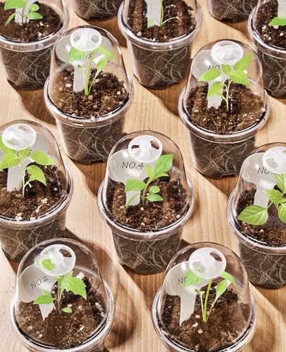 homenote 3/4/5 Inch Clear Nursery Pots with Domes for Propagation (15 Pcs) - color: Transparency-with Lid, size: 3/4/5 Inch-15 Pack