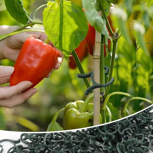 Hysagtek Plant Clips 200 Pcs Garden Clips Plant Support Clips for Climbing Plants Vine Fixing Clips for Plants Stem Support Tomatoes Cucumbers Flowers (L+M+S) - size: L+M+S