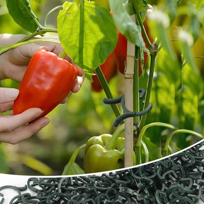 Hysagtek Plant Clips 200 Pcs Garden Clips Plant Support Clips for Climbing Plants Vine Fixing Clips for Plants Stem Support Tomatoes Cucumbers Flowers (L+M+S) - size: L+M+S