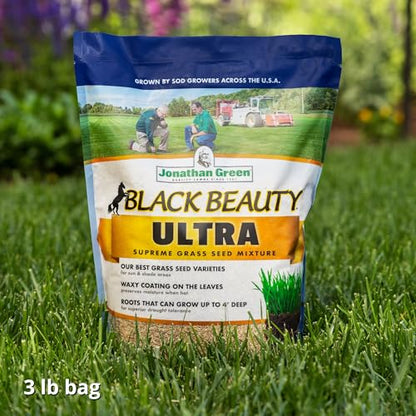 Jonathan Green 10321 Black Beauty Ultra Grass Seed Mix, 3 Pounds - size: 3 lb