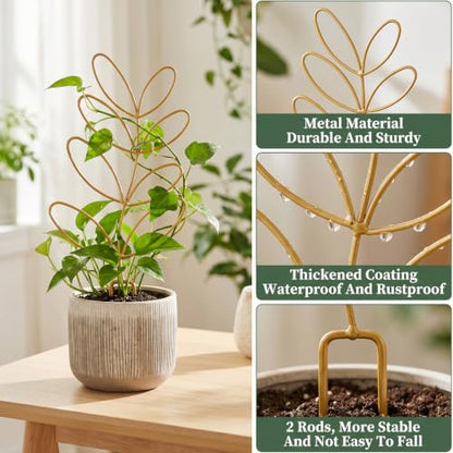 12.2 Inch Small Trellis for Potted Plants Indoor Plant Trellis