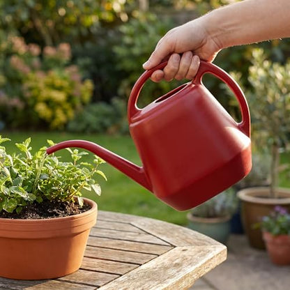 Fasmov Plastic Watering Can, Burnt Red, 1-Gallon