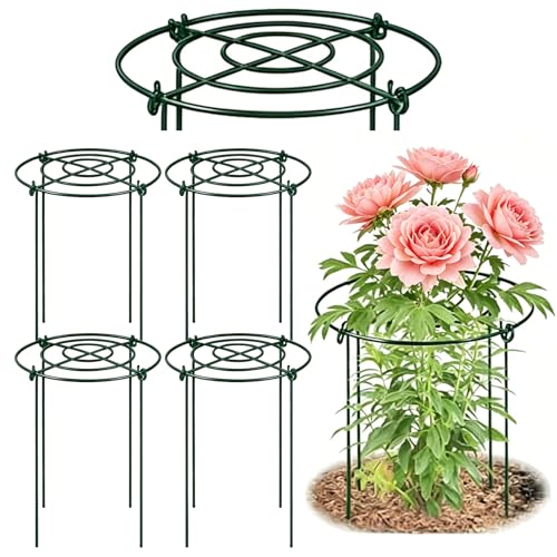 DAYUMKOU 4 Pack Peonies Cages and Supports, 11.5" Wide x 12" High - size: ZWJZ-LVS-4PC-29.21x30.48