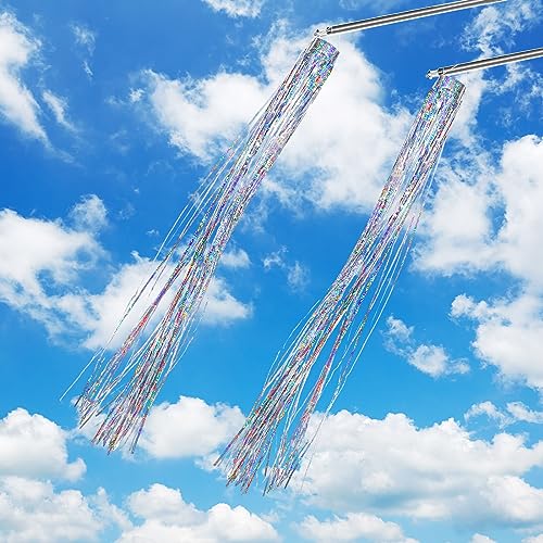 Qualirey 2 Pcs Bird Scarer Windsock Wind Socks Holographic Bird Wind