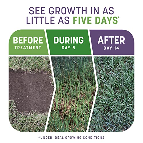 Pennington Smart Patch Dense Shade Grass Seeds for Lawn, 10 lb - size: 10 LB