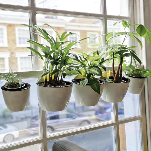 ORIMERC 6 Pack Hanging Planter Wall Planter Self Watering 5 inch Plant Pot with Hardware Vertical Planter Outdoor Indoor Plants Herb Garden Home Décor Kitchen Balcony Railing Shelf Fence (Medium) - size: 6*Medium