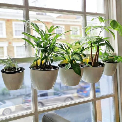 ORIMERC 6 Pack Hanging Planter Wall Planter Self Watering 5 inch Plant Pot with Hardware Vertical Planter Outdoor Indoor Plants Herb Garden Home Décor Kitchen Balcony Railing Shelf Fence (Medium) - size: 6*Medium