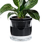 D'vine Dev Self-Watering Black Terracotta Planter Pot, 8 in, 37-X-C-3 - color: Black, size: 8 Inch