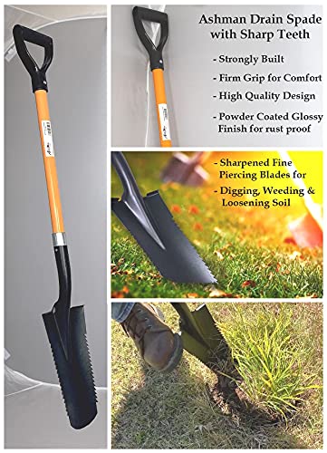 Ashman Drain Spade Teeth Shovel (2 Pack) - 48 Inches Long Handle Spade with D Handle Grip - Durable Handle with a Thick Metal Blade - Multipurpose Premium Quality Orange - size: 2 Pack, style: Drain Spade Teeth