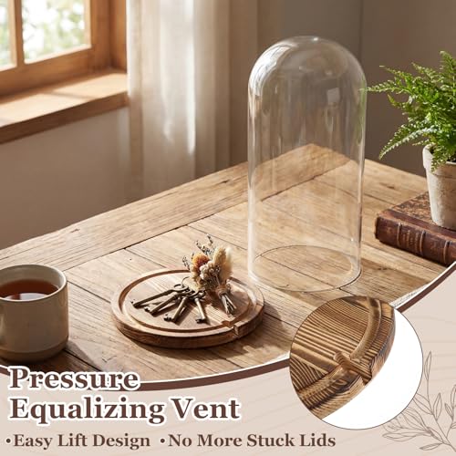 16'' × 8.66'' Glass Dome Cloche Display with Wood Base, Clear Display Jar - size: 8.66''×16''