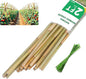 2ft Natural Bamboo Plant Stakes for Tomatoes, Beans, Flowers, Potted, Climbing Plants 30pcs - size: 2FT 30PCS