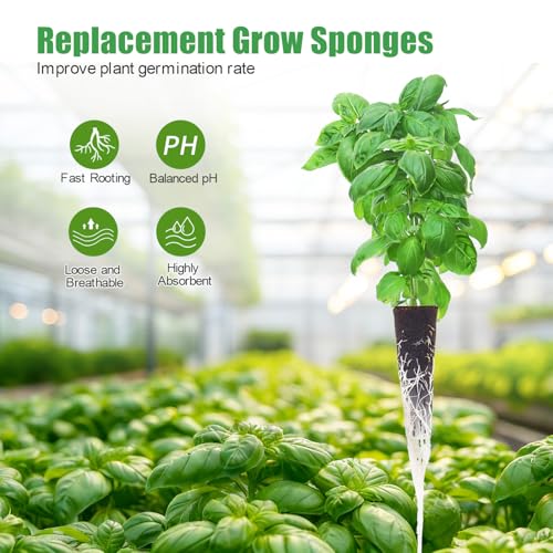 Hydroponic Grow Sponges with Seeds,Compatible with Aerogarden