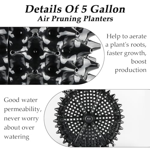 RooTrimmer Air Pruning Planters 5 Gallon 6-Pack, Sturdy Plastic Roots Control Planter Container for Fruit Vegetable Garden Orchard, Size 12"x12",Black - size: 5 Gallon-6P