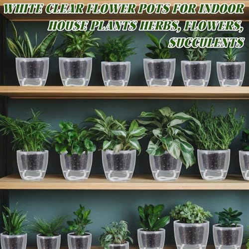 Self Watering Plant Pots, 3.5'', Transparent, 18 Pcs - color: Transparent, size: 3.5''