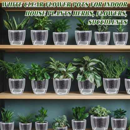 Self Watering Plant Pots, 3.5'', Transparent, 18 Pcs - color: Transparent, size: 3.5''