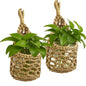 2 Pack Macrame Wall Hanging Plant Holder, Woven Basket Wall Planter for Indoor Greenery, Suitable for 4 Inch Small Plant Pots
