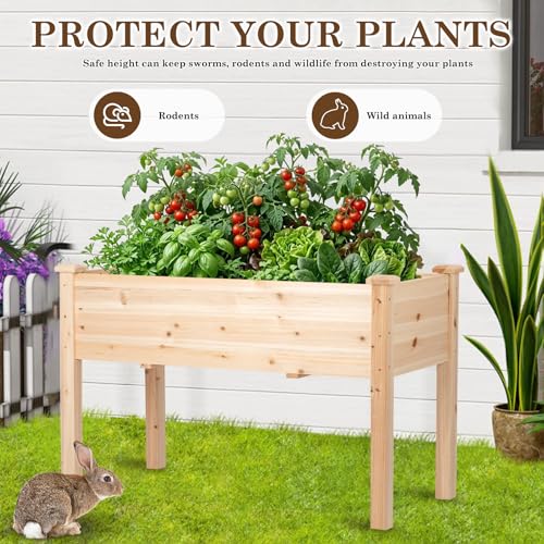 Raised Garden Bed with Legs, 48x24x30 inch Wood Elevated Planter with Protective Liner for Vegetable Flower Herb, Outdoor Planter Box Kit for Balcony Patio Backyard, Natural - size: 48x24x30 in, style: Natural-Single
