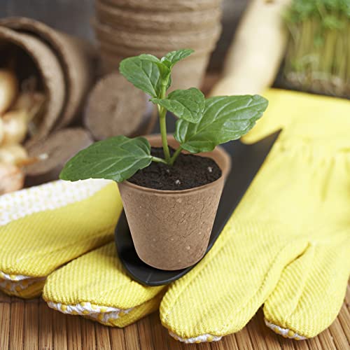 100 Pack 3.15 In Mini Flower Pots Disposable Plant Pots with Labels,Tools