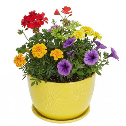 MyGift 7 Inch Yellow Ceramic Planter Pot with Sunburst Design & Saucer - color: Yellow