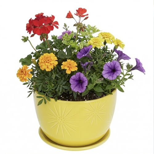 MyGift 7 Inch Yellow Ceramic Planter Pot with Sunburst Design & Saucer - color: Yellow