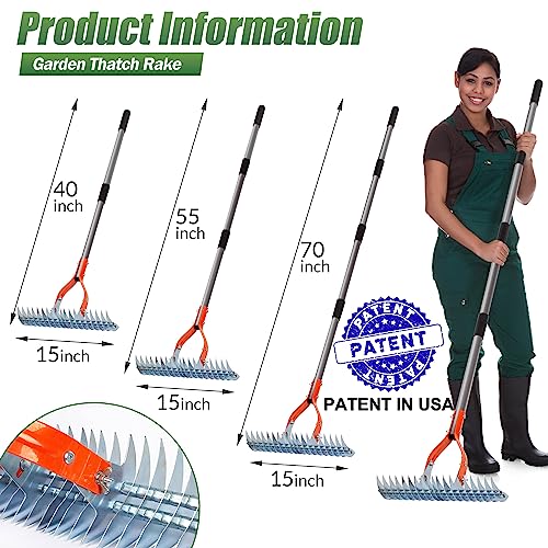 Walensee 15-Inch Thatch Rake for Lawn, 19-Tine Dethatcher, 70-Inch Handle