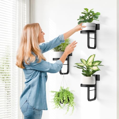 3 Pack Wall Plant Holder for Hanging Planters Indoor Outdoor Black - color: Black-3pcs15cm