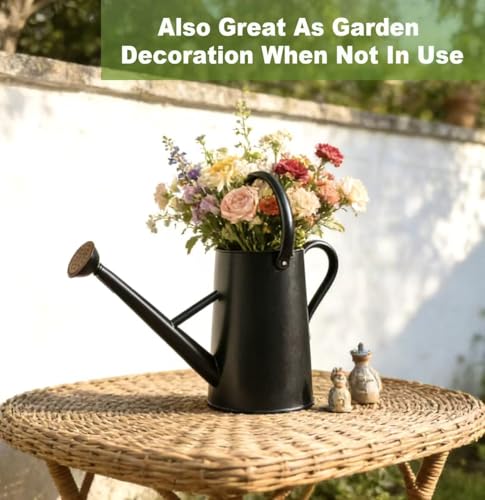 Watering Can for Outdoor&Indoor Plants，1.5 Gallon，Black - color: Black