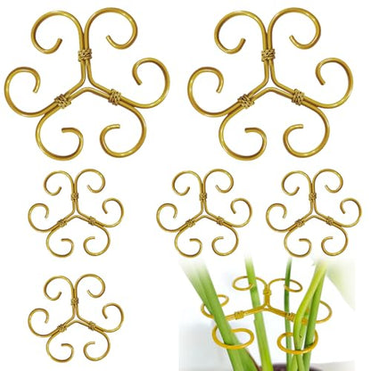 BADAO 6pcs Monstera Plant Support,Iron Stabilizer Grapple Holder for Plants