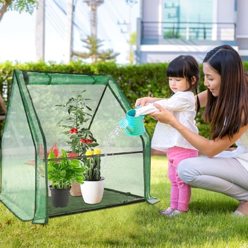 U'Artlines Portable Mini Greenhouse Small Green House 36x36x42 Inch - size: 36x36x42 Inch
