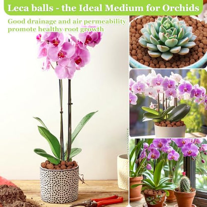4LB Organic Leca Clay Pebbles for Plants, 4-16mm Natural Leca Balls - size: 4LB